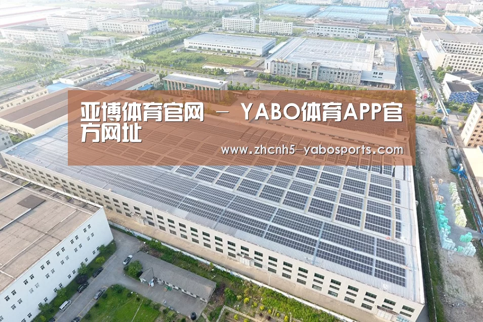 案例展示二