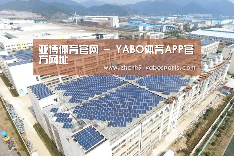 案例展示一