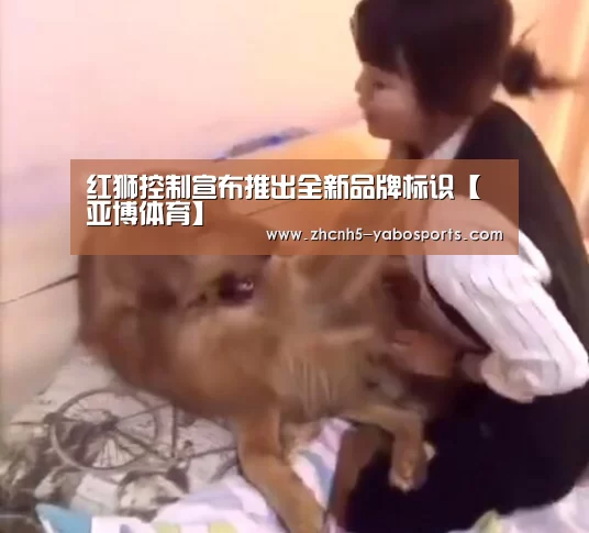 红狮控制宣布推出全新品牌标识【亚博体育】(图1) 亚博