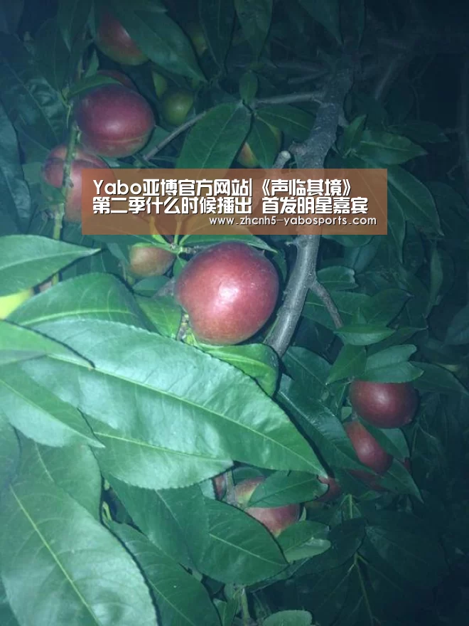 Yabo亚博官方网站|《声临其境》第二季什么时候播出 首发明星嘉宾阵容名单(图1) 亚博