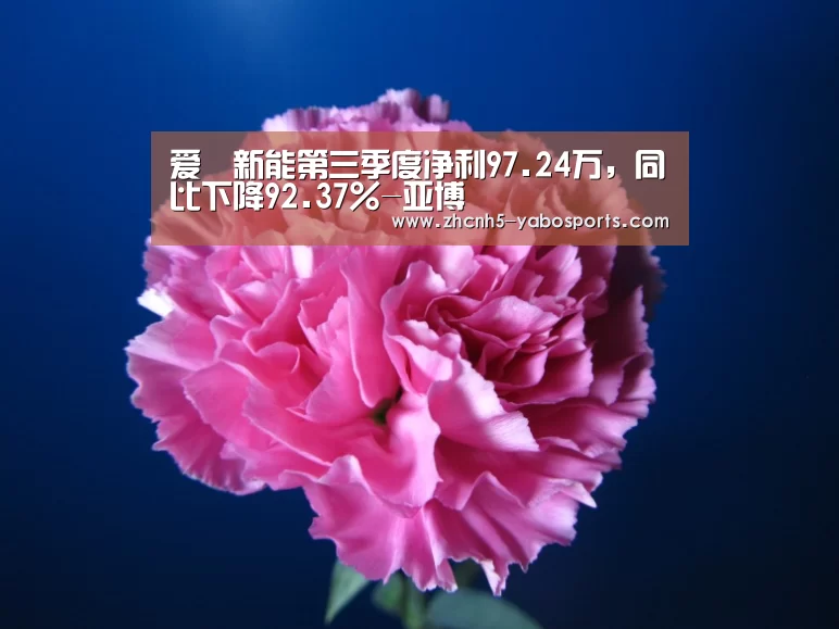 爱廸新能第三季度净利97.24万,同比下降92.37%-亚博(图3) Yabo亚博官方网站