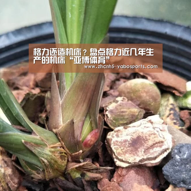 格力还造机床?盘点格力近几年生产的机床“亚博体育”(图1) 亚博体育