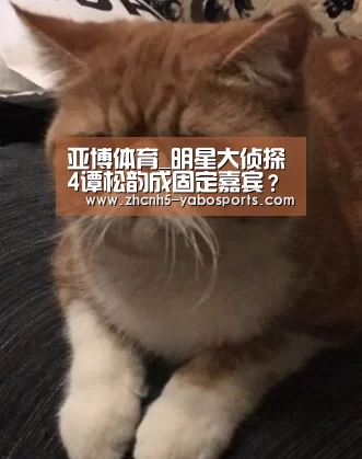 Yabo亚博官方网站