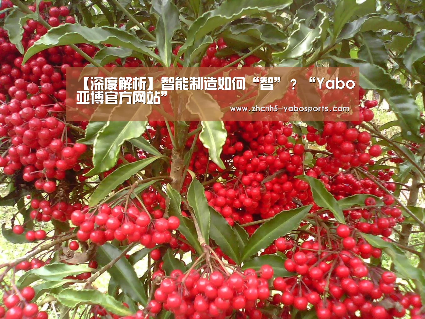 Yabo亚博官方网站