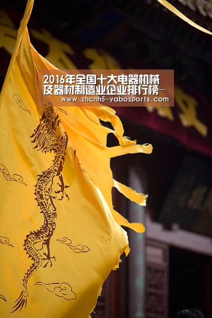 2016年全国十大电器机械及器材制造业企业排行榜-亚博(图2) 亚博